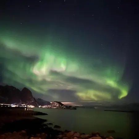 Reine Sea