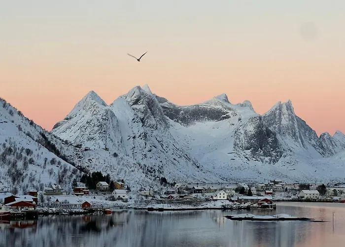 Apartment Reine Sea *