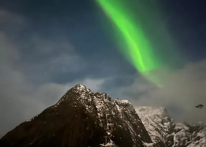 Reine Sea * Moskenes