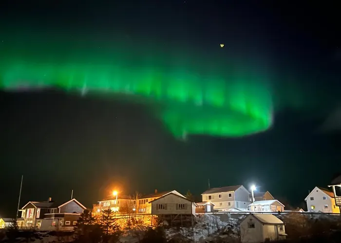 Reine Sea Leilighet