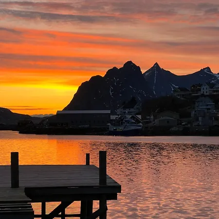 Reine Sea