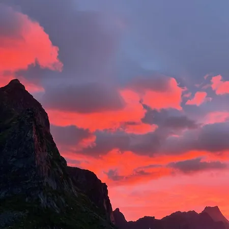 شقة Reine Sea موسكينيه